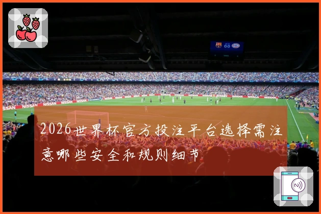2026世界杯官方投注平台选择需注意哪些安全和规则细节