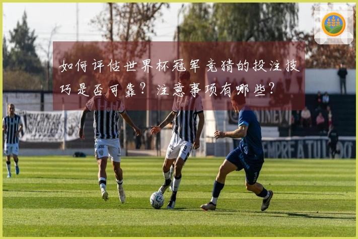 如何评估世界杯冠军竞猜的投注技巧是否可靠?注意事项有哪些?