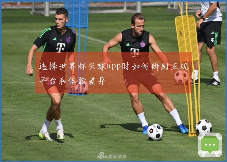 选择世界杯买球app时如何辨别正规平台和体验差异